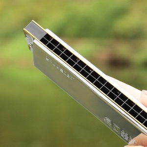 上海牌回声口琴友谊牌24孔c调复音高级成人中老年人演奏 经典回忆