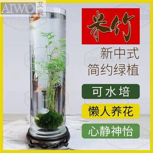 厂家米竹水培鱼缸玻璃瓶带根苔藓球植物室内禅意盆栽凤尾竹观音竹