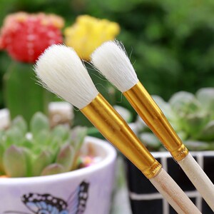 授粉笔人工花粉器草莓多s肉猕猴桃果树授粉神器具粉点授授粉工花