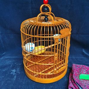 黄豆鸟鸟笼黄腾贵州