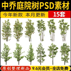 园林景观常绿小乔木中乔庭院树丛生植物PS效果图后期PSD免抠素材