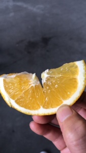 安远橙皇17.8度橙子正宗赣南脐橙大新鲜w水果黄金甜酸10斤顺丰