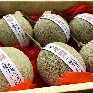 现货日本品m种静冈夕张玫珑蜜瓜6个礼盒装甜糯网纹哈密瓜新鲜水
