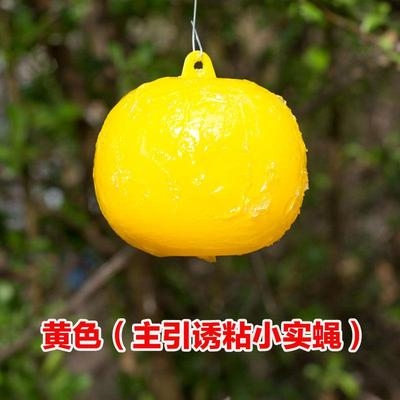 诱蝇球球球橘大实蝇桔针实蝇a食蝇器果树橘灯笼小蜂诱粘柑.