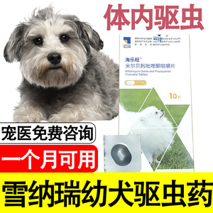 狗狗雪纳瑞幼犬专用驱虫药体内一个月可用打虫药中型犬