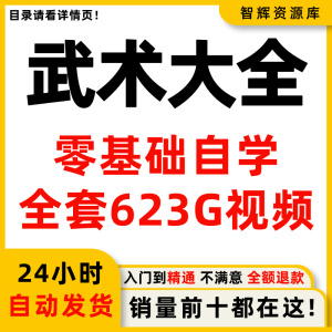 自学武术视频教程入门到精通咏春拳散打擒拿泰拳跆拳道格斗防身术