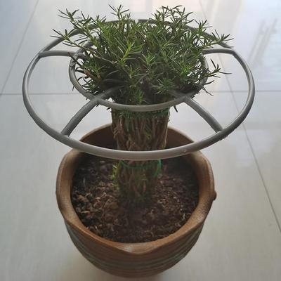 垂吊植物杆