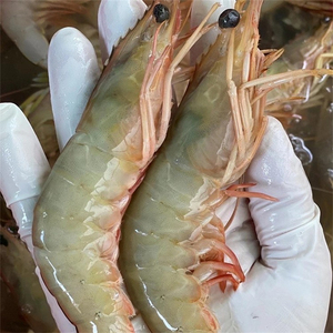 北海大明虾对虾白虾青背虾天然大海虾鲜活速冻海鲜冰鲜水产品3斤