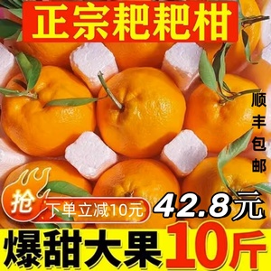 正宗四川耙耙柑橘子新鲜10斤桔子当季水果丑橘整箱粑粑柑顺丰礼盒