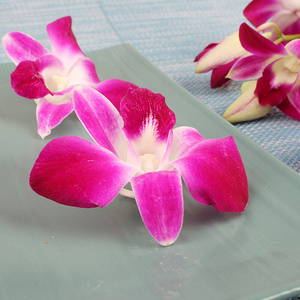 22新鲜洋兰花12k枝  杨兰花 马兰花  西餐餐盘装饰香料 西餐点缀