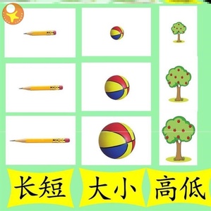 比大小比多少卡片认知大小实物对比卡儿童早教幼小衔接认识颜色卡