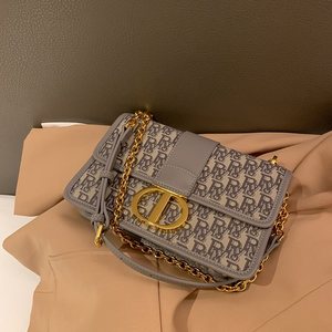 香港网红时尚e帆布包包2021新款潮女包小d包ck0斜挎单肩链条腋下