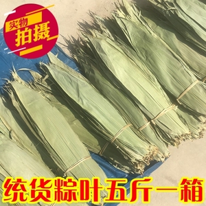 包粽子的叶子干种竹子叶新鲜大棕散装5斤商用深山采摘大叶农家