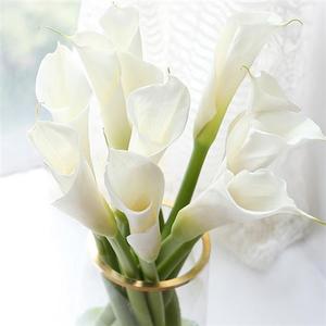 【白色马蹄莲鲜花家用】白色马蹄莲鲜花家用品牌,价格 - 阿里巴巴