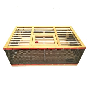 b塑料放飞笼新款特大型信鸽笼折叠笼通道赛鸽室外手提报道笼u集训