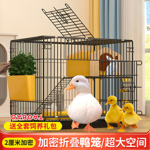 宠物鸭子窝柯尔鸭专用笼子加粗大号别墅装小鸭子鸡的饲养笼家用豪