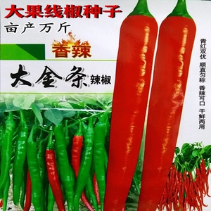 万斤亩辣椒种子大金条长线椒二荆条香辣四川海椒川辣妹种菜蔬菜籽