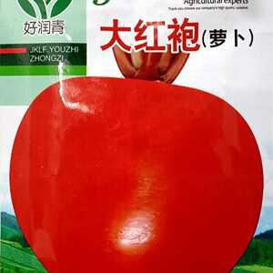 七叶红萝卜种子春夏秋播东北雌性大红萝卜种籽红皮白心萝卜种孑