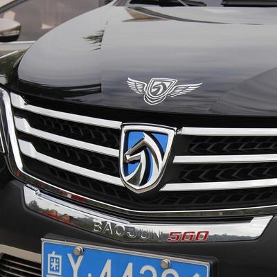 宝骏510后车标改装