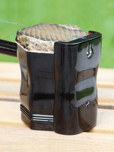 高档致雅苏州二胡乐器初学者入门考级演奏成人儿童正品专业红木胡