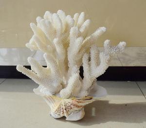 新天然珊瑚摆件超大珊瑚树白珊瑚珊瑚花鱼缸造景饰品酒店装饰摆设