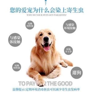 狗药泰迪家用蜱虫杀g灭杀虫虱子跳蚤药小猫狗狗驱虫狗跳狗猫灭