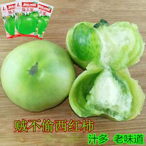 8号草莓番茄种子 北京现代农夫成熟带绿肩口感甜脆酸东北铁皮7人付款