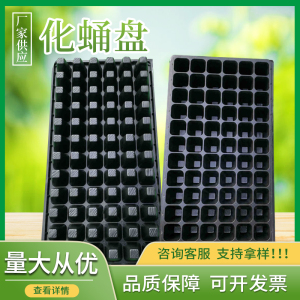 化蛹盘蛋白虫化蛹盒大麦虫蛋白虫化蛹盆养殖盘面包虫黄粉虫养殖盒