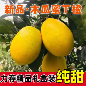 木瓜蜜丁橙子新鲜新鲜包甜不甜不要钱香甜新鲜水果台湾引进新品种