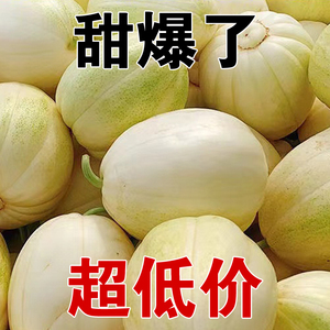 内蒙古巴盟香瓜白莲脆甜瓜脆瓜应季新鲜水果现摘现发白糖罐4斤
