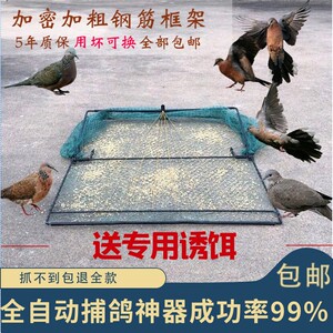 56tb2022030445淘宝捕鸽套网抓野鸽子神器抄网抓鸽子用具种鸽幼鸽