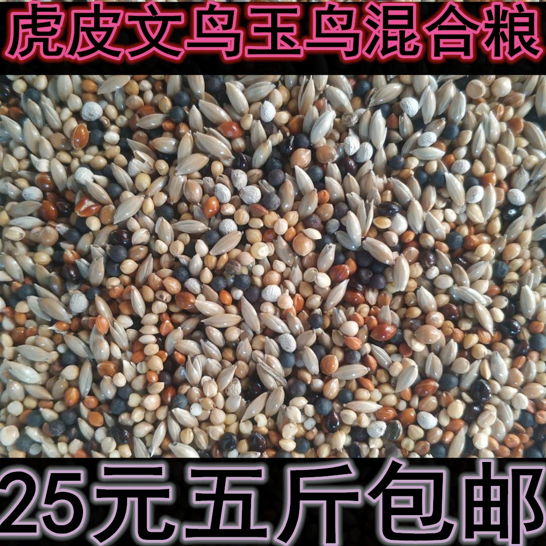 文鸟玉鸟芙蓉虎皮牡丹玄凤混合鸟粮加白苏子油菜籽谷子鸟食5斤