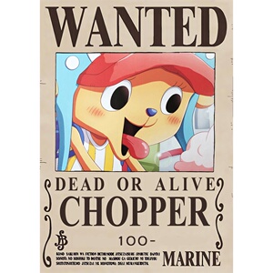 海贼王通缉令草帽团路飞f15亿四皇悬赏令全套海报装饰相框墙画贴