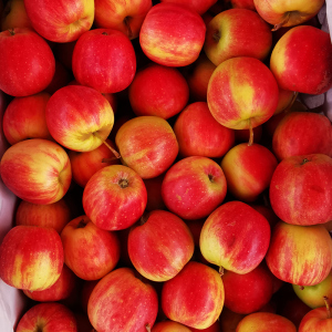 东北123小苹果新鲜 水果小海棠5斤沙果花红酸甜孕妇当季整箱3