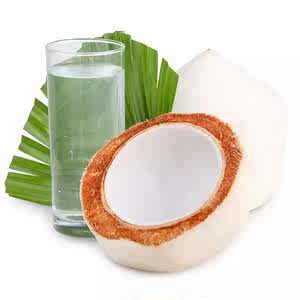 thai fresh coconut jelly coconut milk seasonal fruit