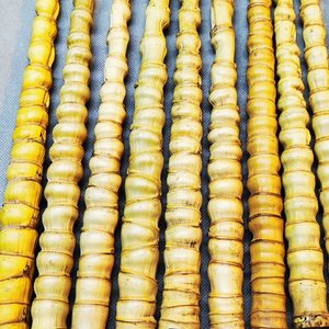 罗汉手把件竹杆密节佛x肚异形折扇子实心玉q竹藤根手杖龟背甲原材