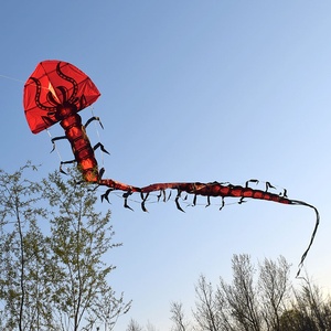 蜿蜒曲折的蜈蚣风筝图片