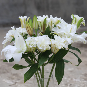 黄百合香a水递合黄天霸大花苞鲜百花云南基地直发鲜花速百粉白切