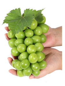 美国进口无籽青提2斤装 新鲜无子青提提子青葡萄当季水果顺丰