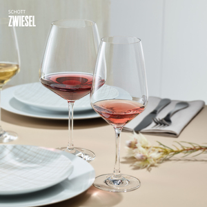 德国进口肖特圣维莎水晶玻璃红酒杯香槟杯高端葡萄酒杯轻奢礼盒