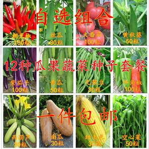 多种春季蔬菜种子套餐丝瓜黄瓜茄子秋葵豆角玉米辣椒番茄农家菜种