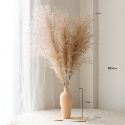 【芦花干花】芦花干花品牌,价格 - 阿里巴巴