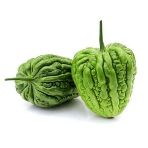 大顶苦瓜种籽 特大圆苦瓜广东苦瓜 凉瓜种子四季阳台菜园易种包邮