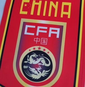 中国足球队队旗