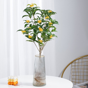 桂花水培植物盆栽室内绿植花卉四季桂开花好养客厅办公室浓香型花