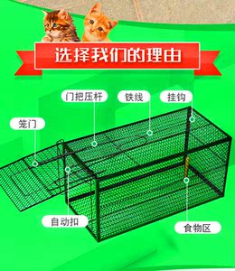 野猫捕抓器