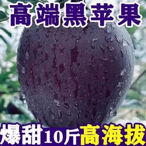 【脆甜】正宗黑苹果应季水果高山罕见冰糖心甘肃花牛