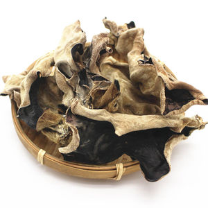 山东毛木耳干货非黑木耳白背毛木耳二级头茬野生肉厚木耳散装包邮