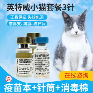 小猫咪疫苗幼猫成猫狂犬荷兰英特威猫三联疫苗育苗预防针全套3针