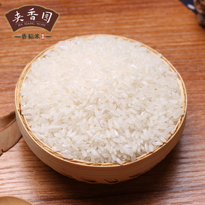 夹沟香稻米10斤袋装清香粳米煮米饭夹香园5kg